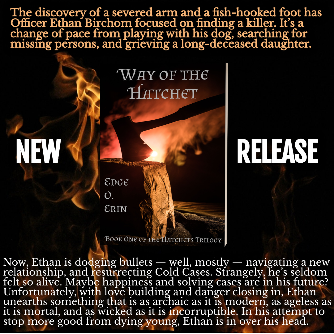 Full hardcover image for the mystery suspense thriller, Odin's Tillit